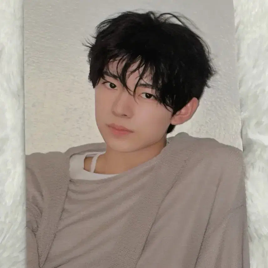 엔시티위시 스테디 Steady QQ뮤직 유우시 포카