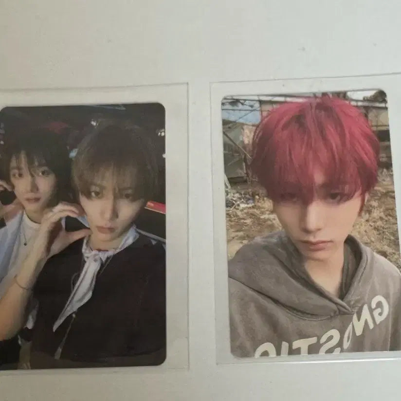 보넥도 태산 성호 일괄