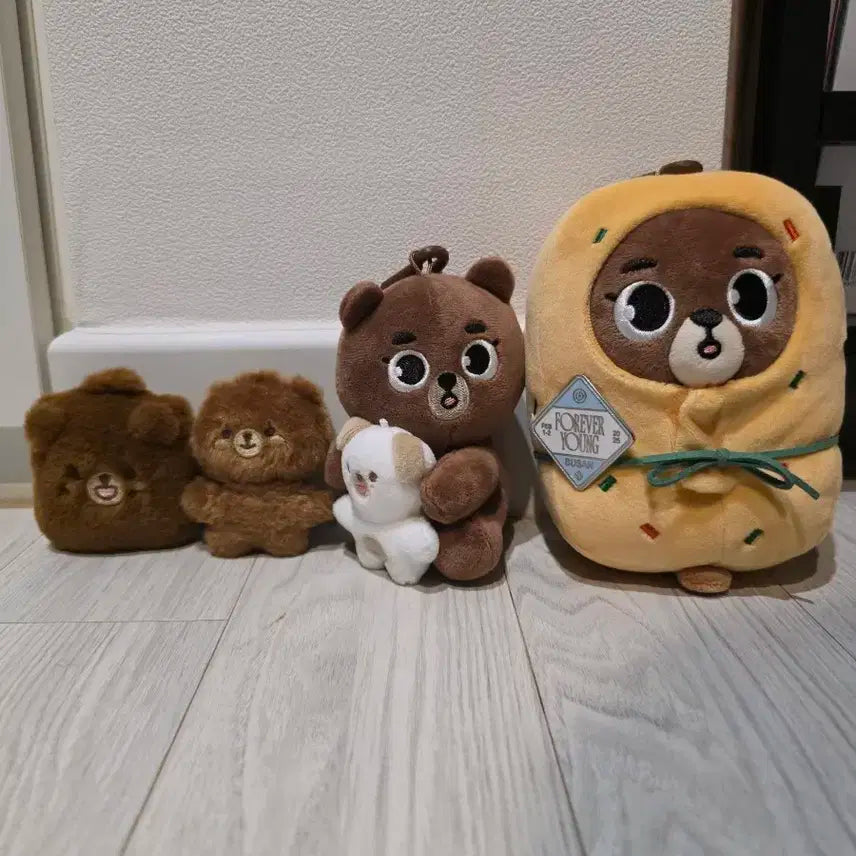 데이식스 성진  데니멀즈 방이 굿즈 정리