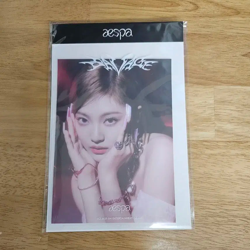 [원가양도] 에스파 닝닝 Savage 홀카 포카 엽서 세트