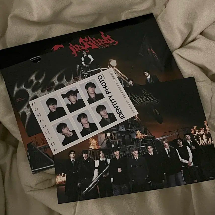 앤팀 고인블라인드 앨범