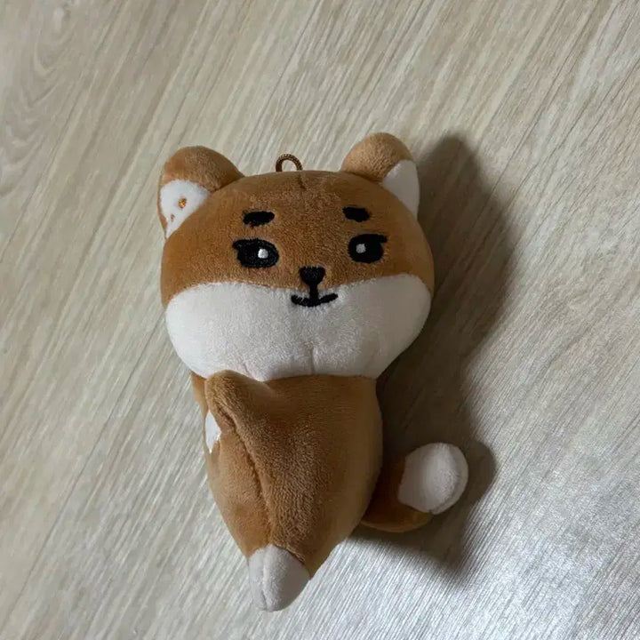 핸드워머 케 원가이하 양도 손난로 데이식스 영케이 케