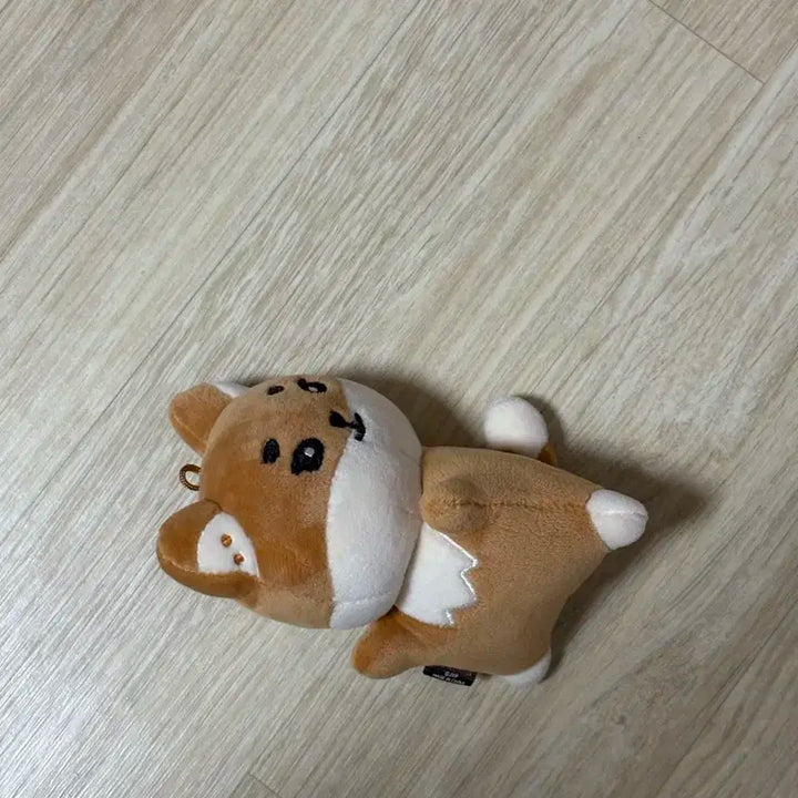 핸드워머 케 원가이하 양도 손난로 데이식스 영케이 케