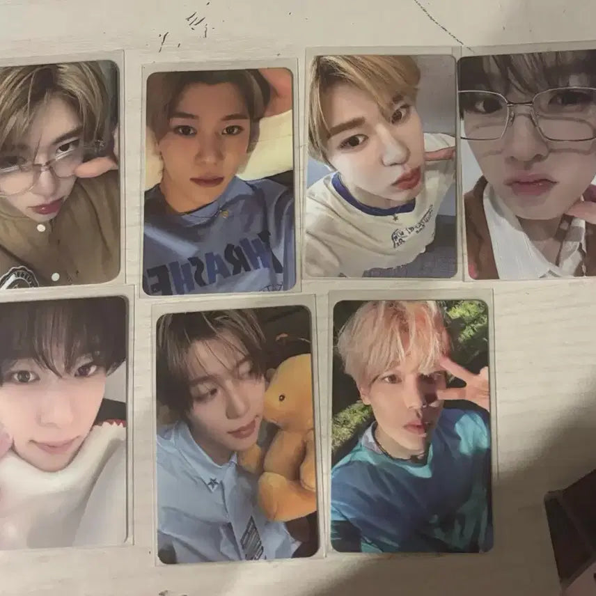 엔시티 위시 포카 양도 시온 사쿠야 료 유우시