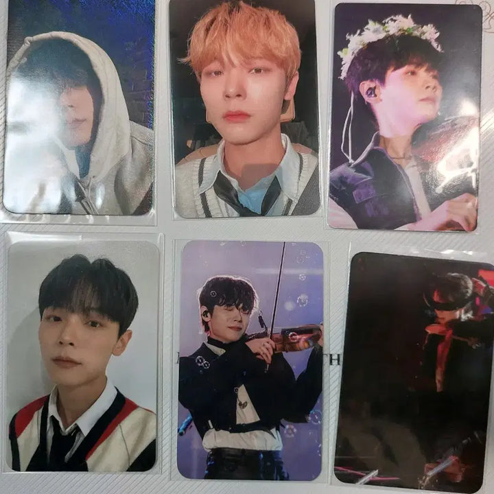 루시 신예찬 비공굿 포카, 콜렉트북