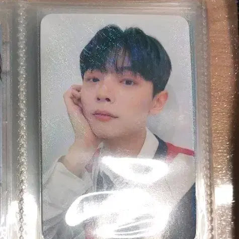 루시 신예찬 톰브 포카 양도