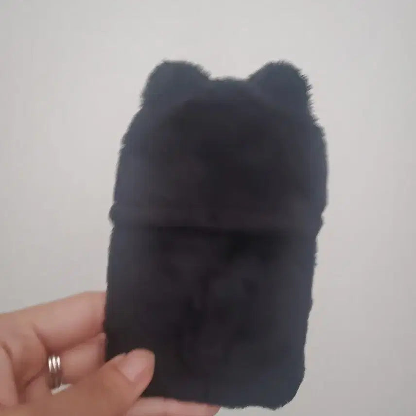 라이즈 원빈 포카홀더 냥삐