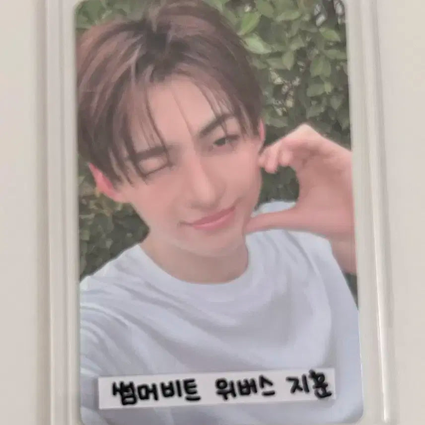 투어스 지훈 포카 위버스