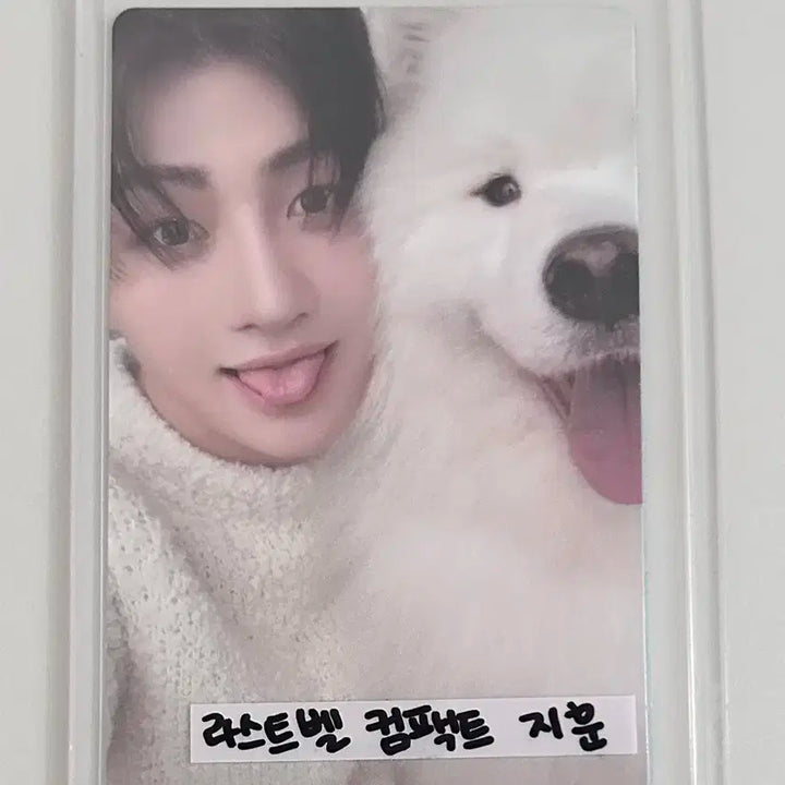 투어스 지훈 포카 컴팩트 2장(+앨범)