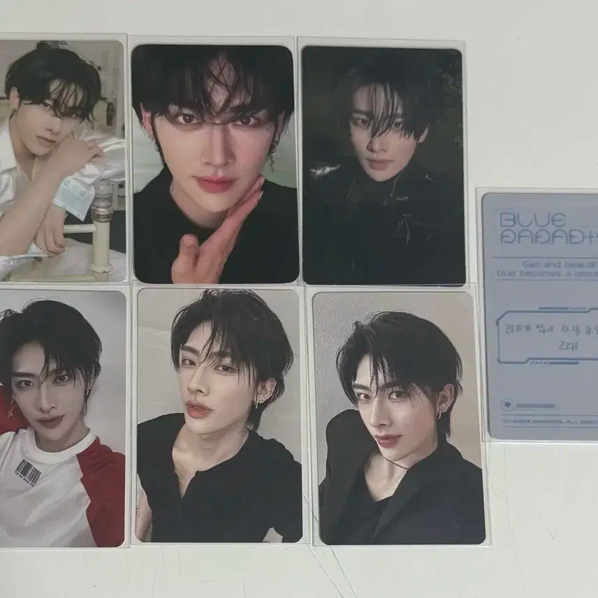 제로베이스원 제베원 zb1 리키 포카 양도