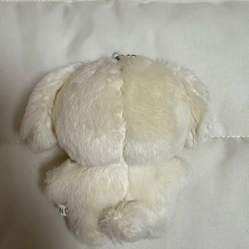 정우인형 정블리