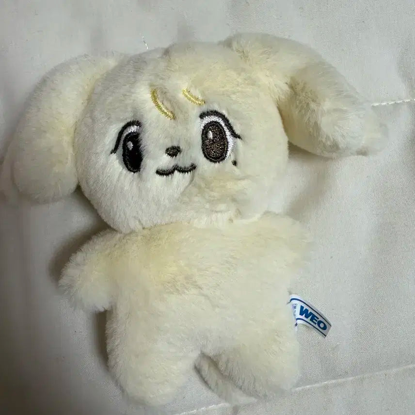 엔시티 정우인형 정아지