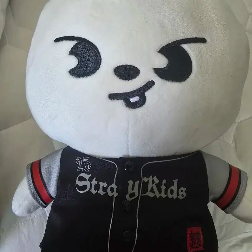 스트레이키즈 리노 리빗 일본 시즈오카 인형