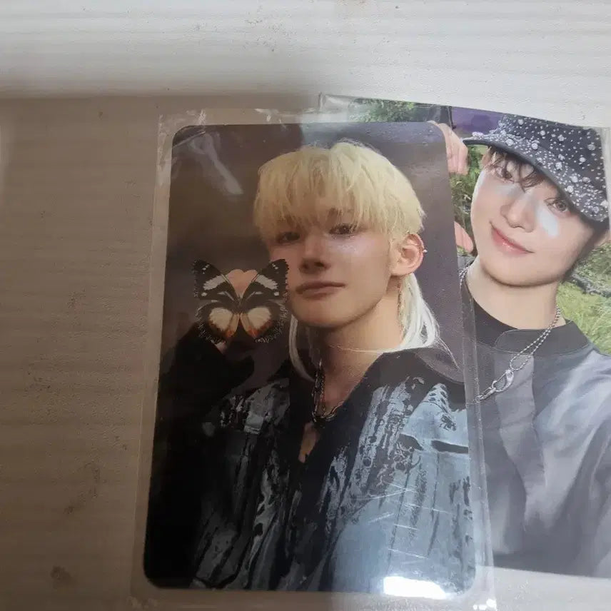 앤팀 니콜라스 의주 back to life 포카