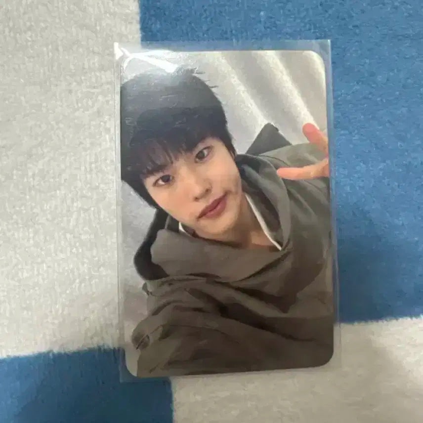 라이즈 소희 스타리버 포카 희귀 매물 양도해요