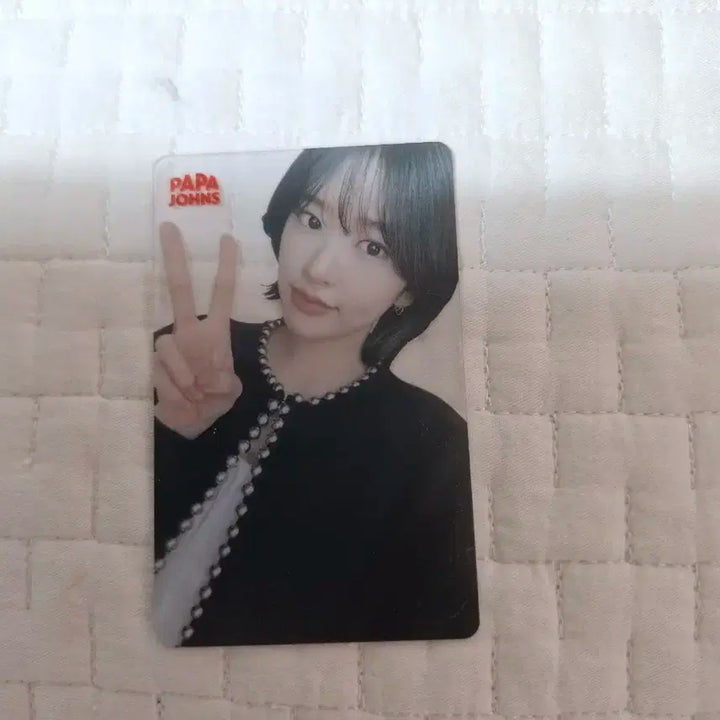 아이브 파파존스 투명포카