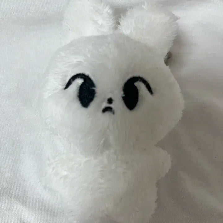 도영 인형 하또 양도합니다!!