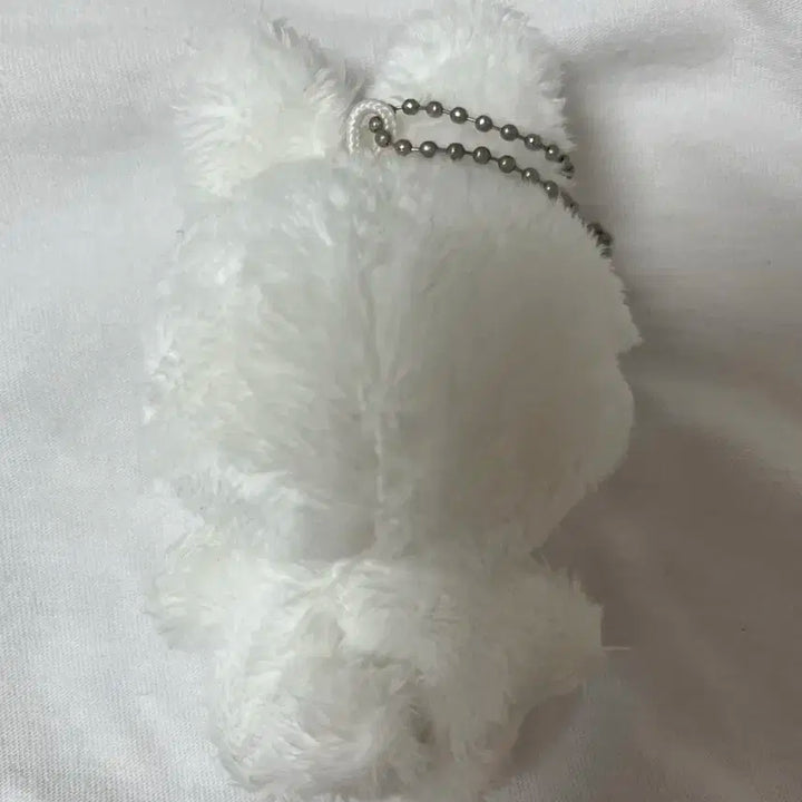 도영 인형 하또 양도합니다!!