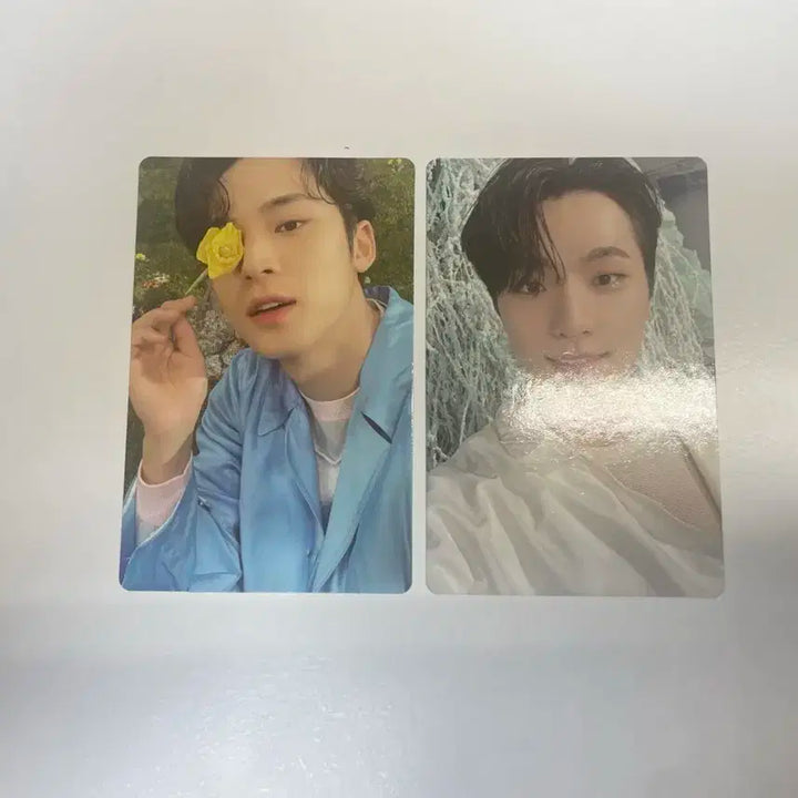 급처)세븐틴 sector 17