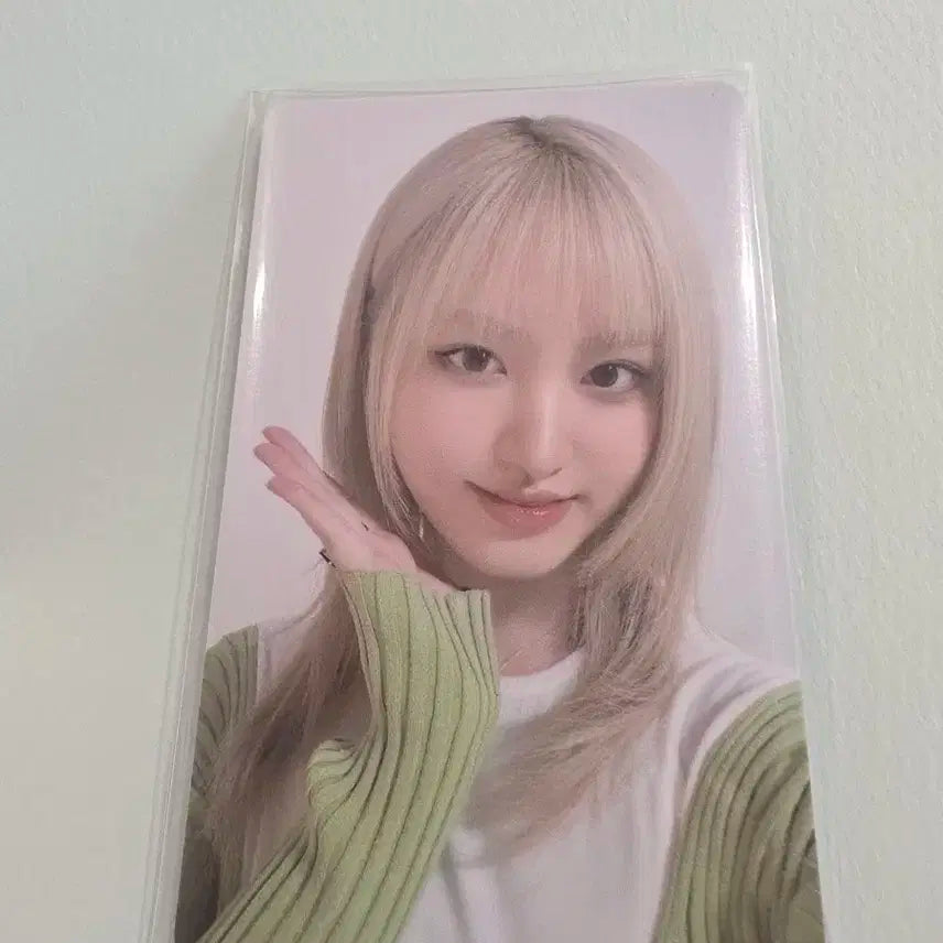 파파존스 아이브 리즈