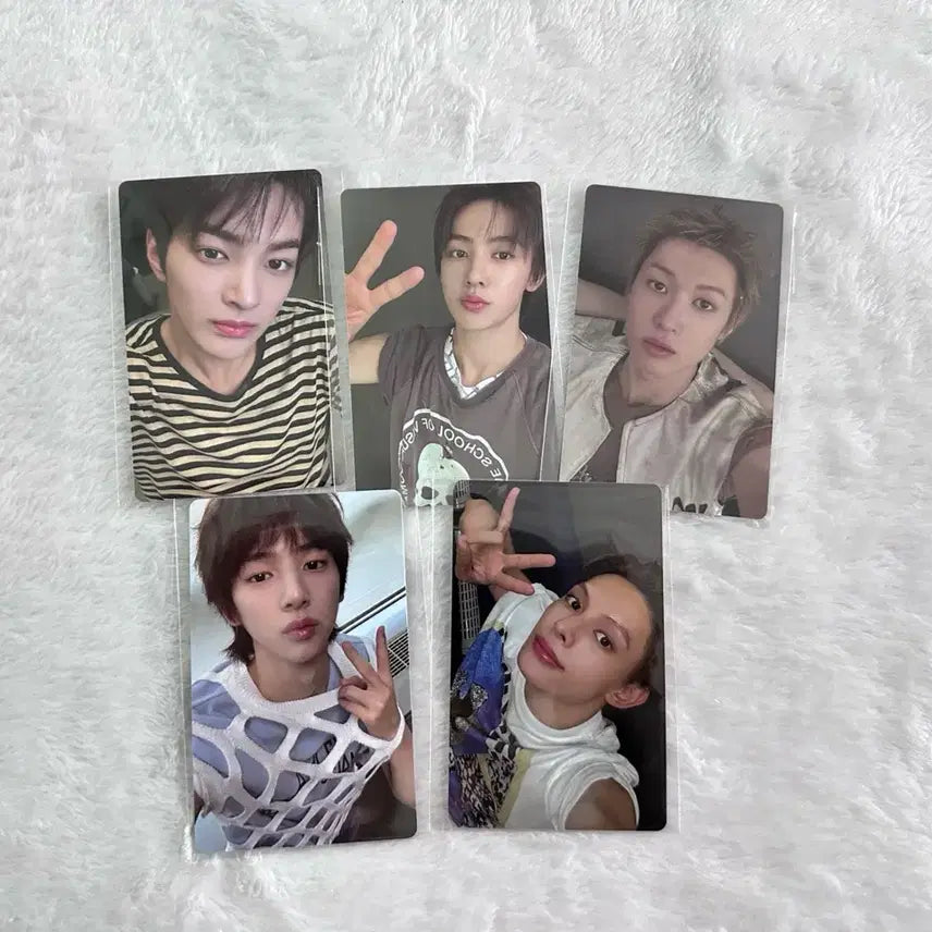 코르티스 CORTIS 위버스 팬싸 포카 5장 세트