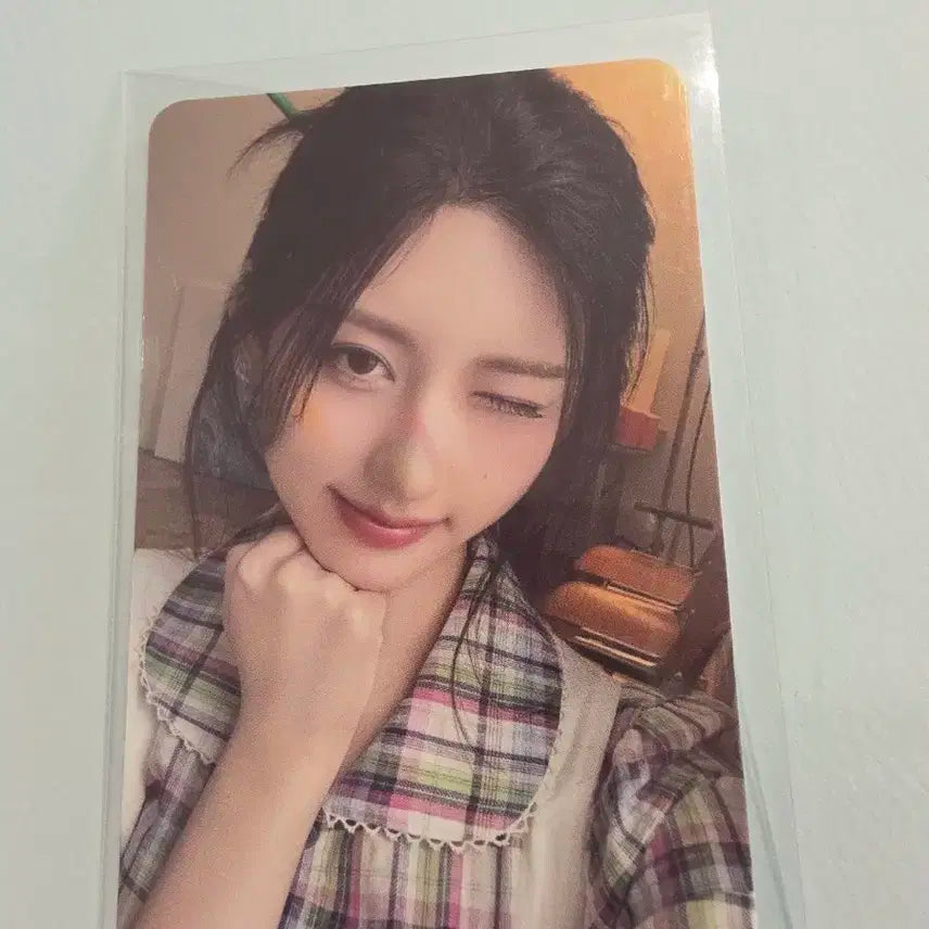 2025 시즌그리팅 가을