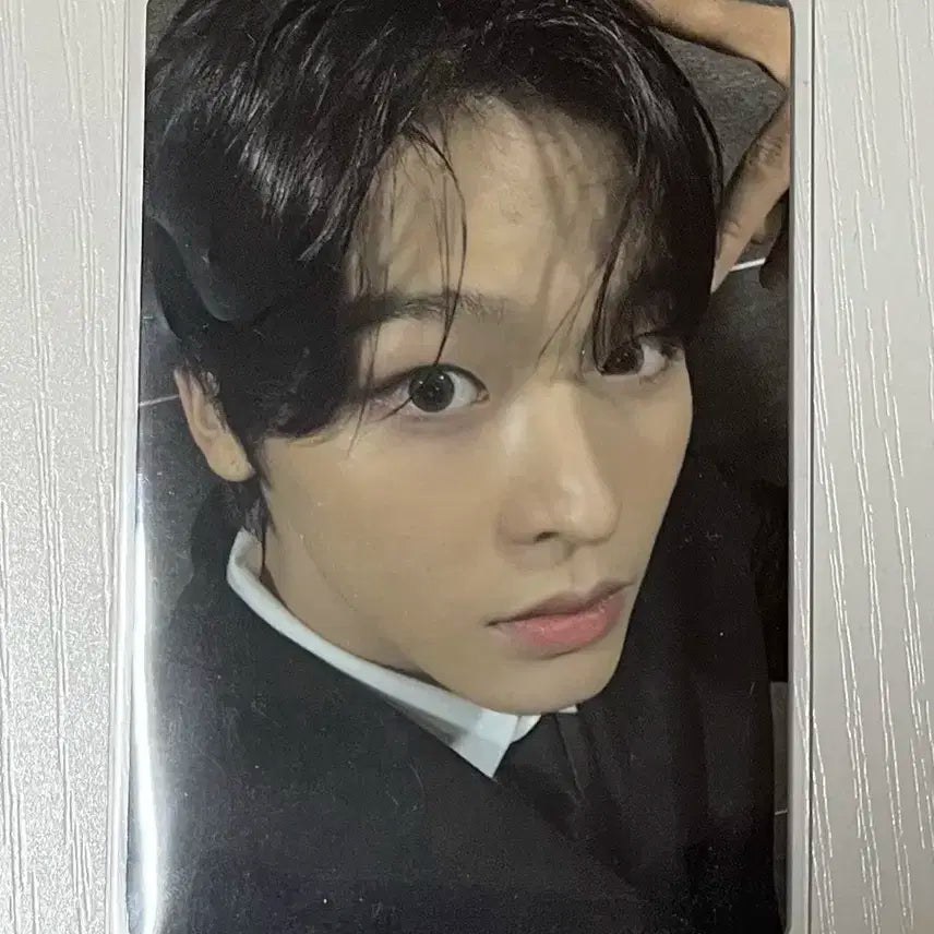 엔시티 위시 리쿠 송버드 예사 포카 양도