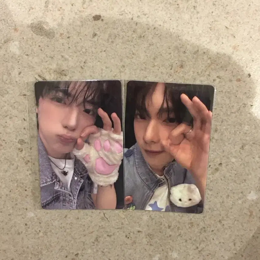 최립우 정상현 보플 1주차 8번 미개봉 일괄 양도