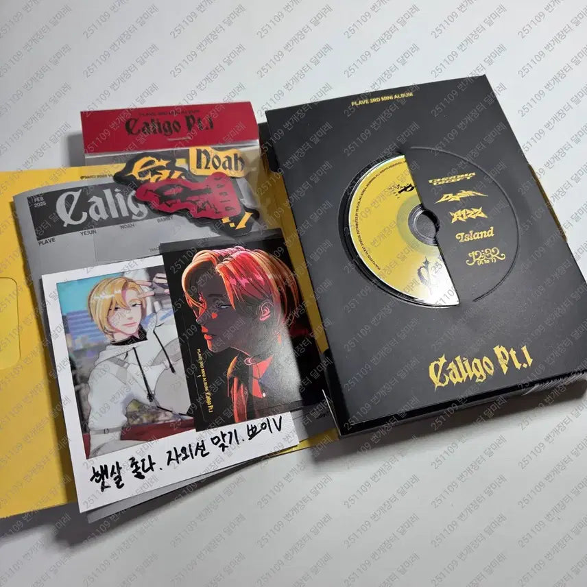 플레이브 뱅가드 노아 개봉