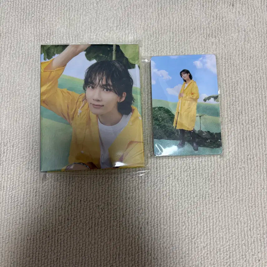 세븐틴 정한 캐럿반 음악의신 바인더+포카