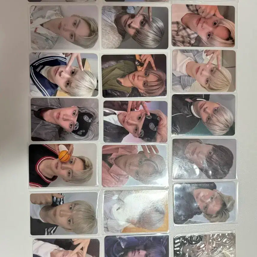 라이즈 오디세이 은석 포카 일괄