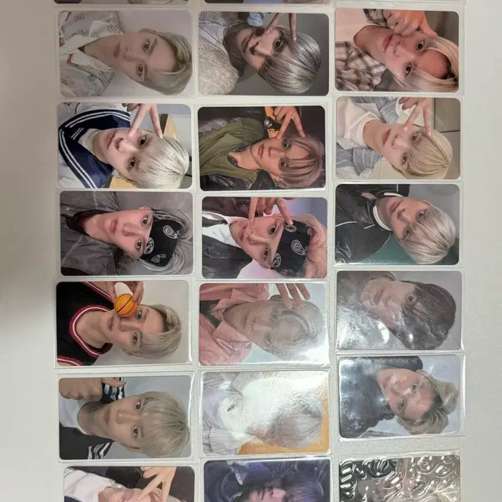 라이즈 오디세이 은석 포카 일괄