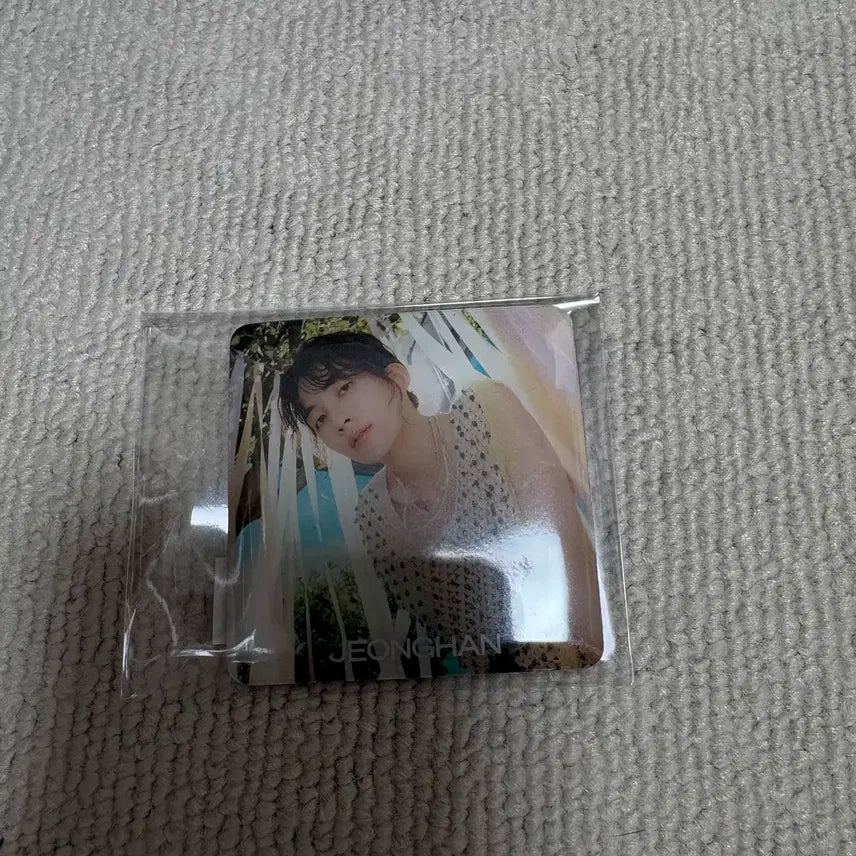 세븐틴 정한 마그넷 음악의신