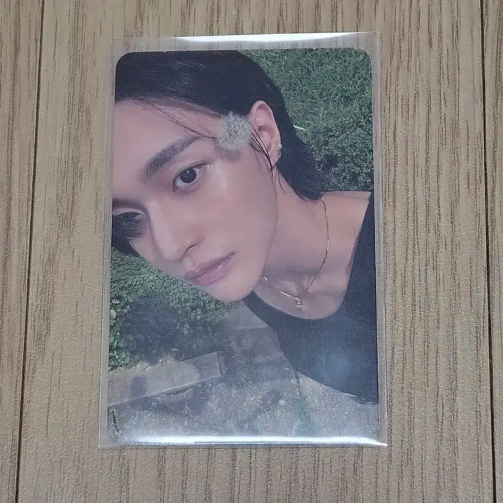 라이즈 포토북 원빈 포카 일괄 판매