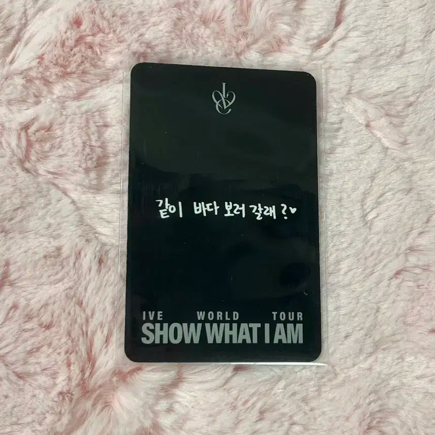 아이브 리즈 콘서트 다이브존2일차