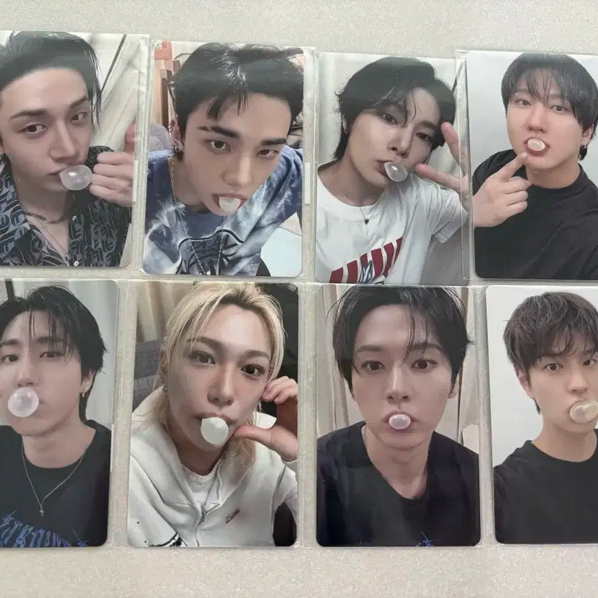 스키즈 bubble 껌 포카 8종 세트