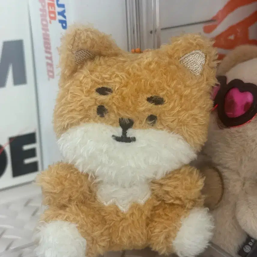 데이식스 쁘띠멀즈 앉은 케