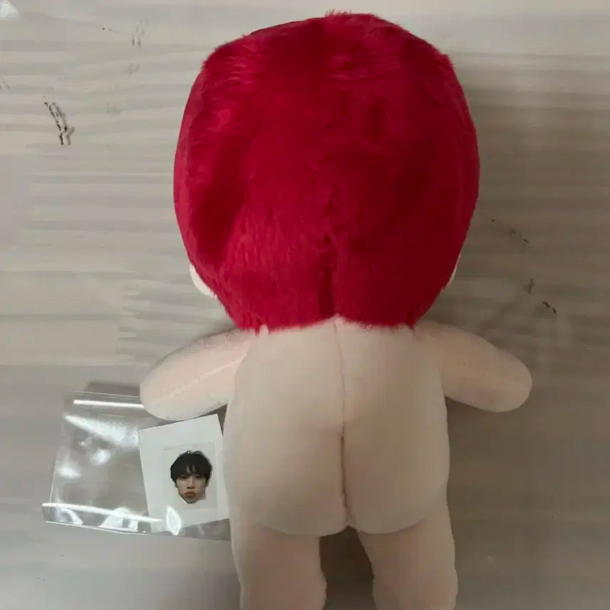 더보이즈 선우 애니멀 보이즈 선구리 솜인형 15cm