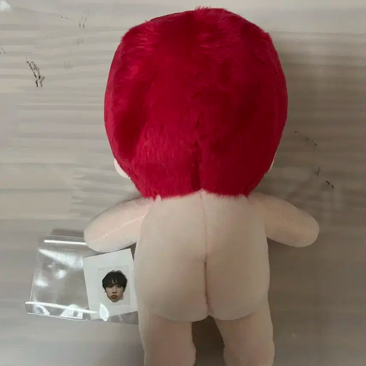 더보이즈 선우 애니멀 보이즈 선구리 솜인형 15cm