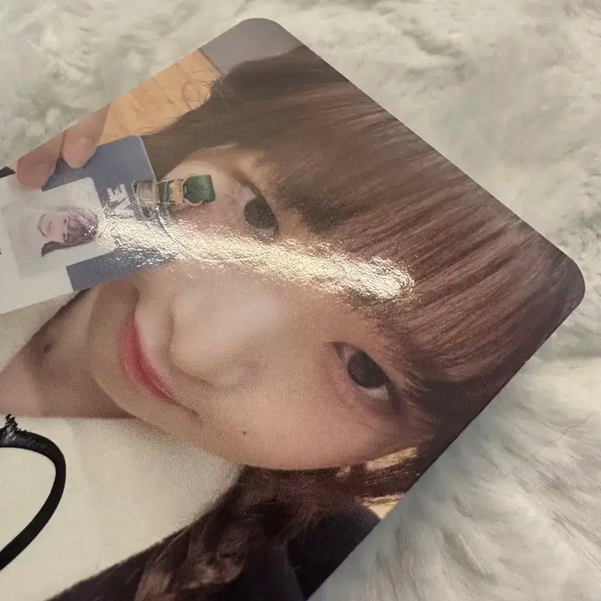 아이브 레이 다이브존 싸인 포카 양도