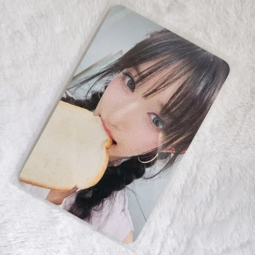 [다이브혜자상점] 5000원의 행복포카 이서 위드뮤식빵