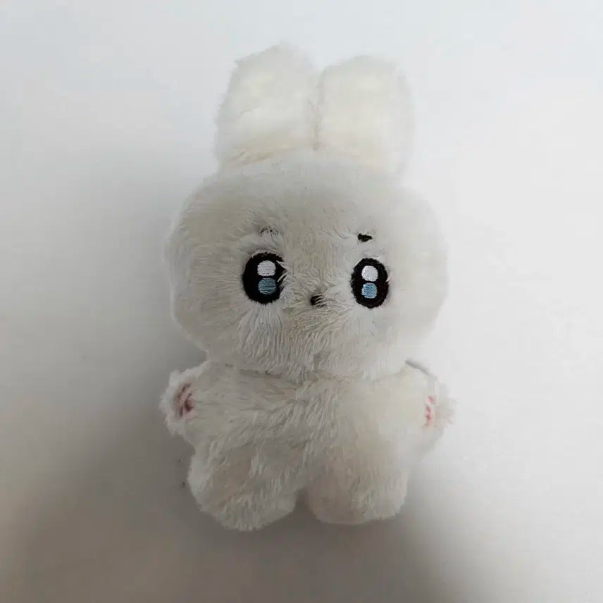 원가 이하!!) 도겸 도토리 인형 급처