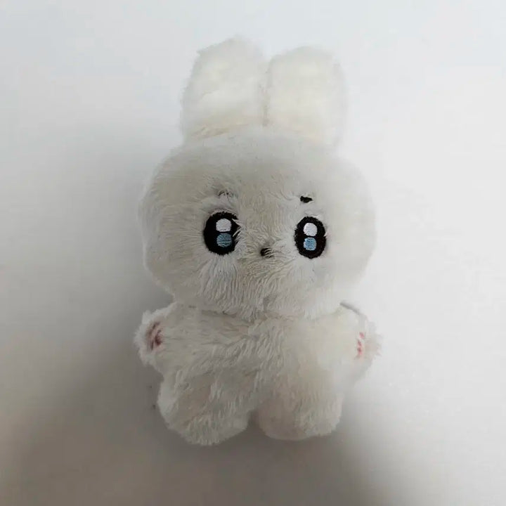 원가 이하!!) 도겸 도토리 인형 급처