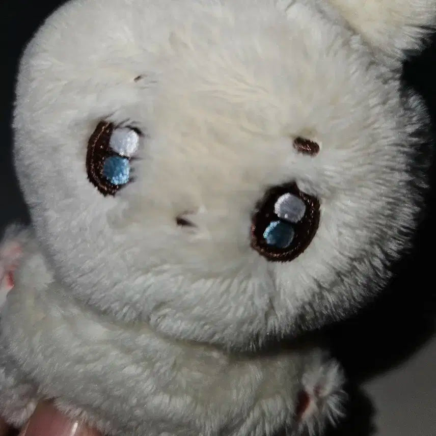 원가 이하!!) 도겸 도토리 인형 급처