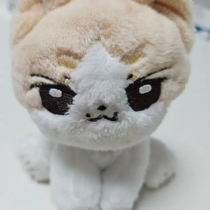 문준휘 인형 급처 ㅠㅠ