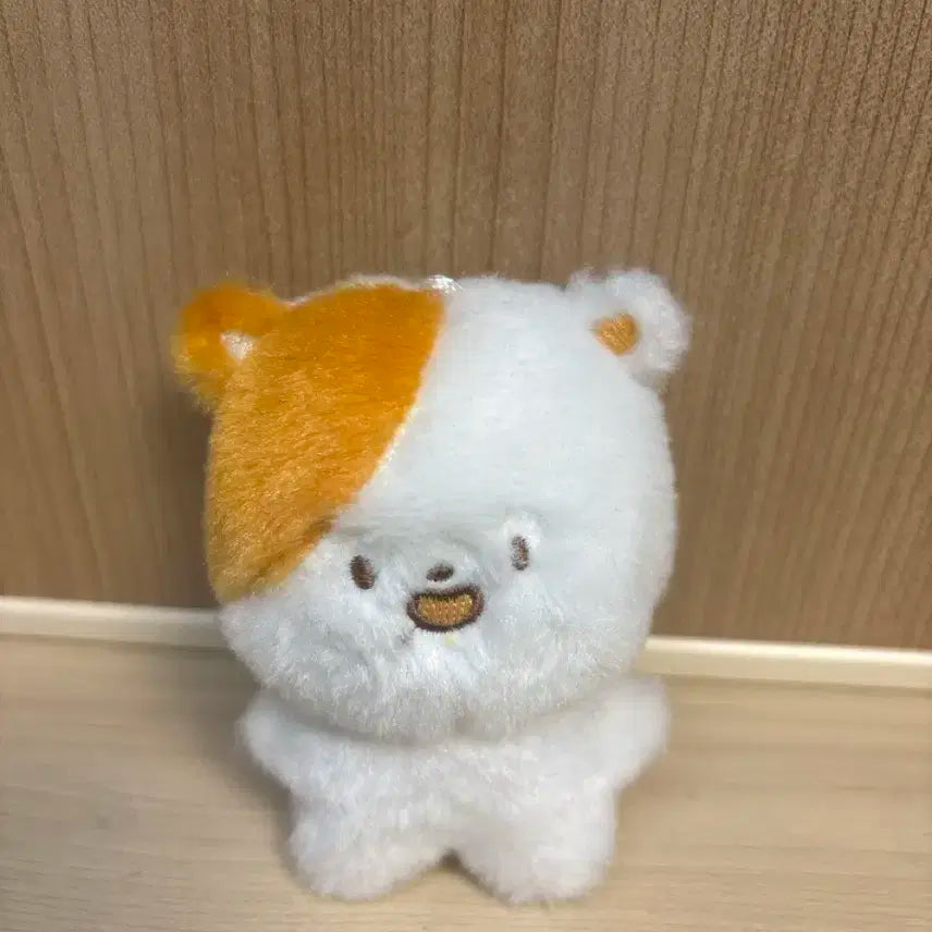 엔시티드림 Nct dream 지성 포켓찌