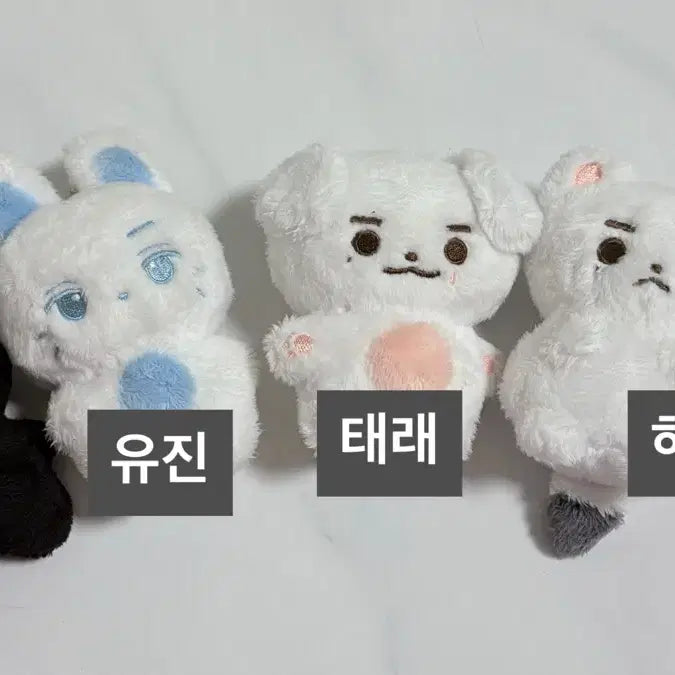 제베원 인형판매합니다