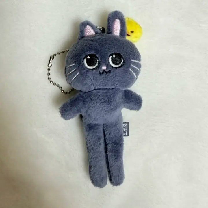 라이즈 RIIZE 원빈 WONBIN 롱다리 토양덕