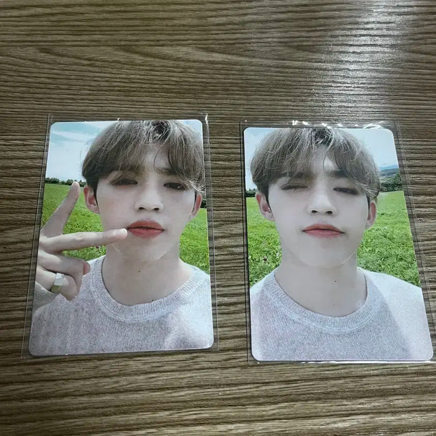 세븐틴 에스쿱스 언오드 포카 양도 운포