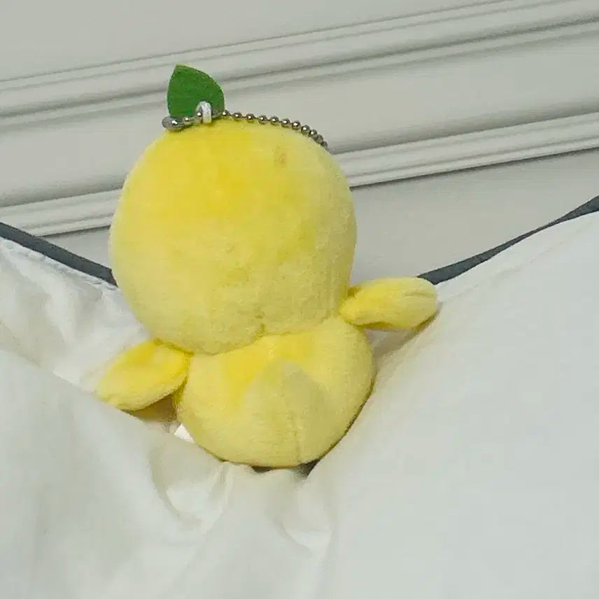 원가 이하) 아뺙이  엑소 오세훈  인형 10cm 키링 아뺘기